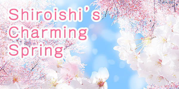 Shiroishi’s Charming Spring